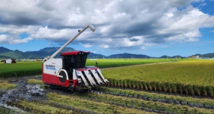 수급조절용 벼재배 농가모집…전남도 ㏊당 50만원 추가 지급