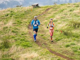 제주의 숲과 오름을 달린다… ‘런트립’이 바꾼 여행지도