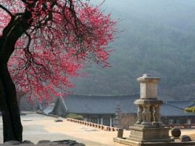 전남 봄꽃 버스여행 ‘남도한바퀴’ 23개 코스 3월 출발