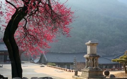 전남 봄꽃 버스여행 ‘남도한바퀴’ 23개 코스 3월 출발