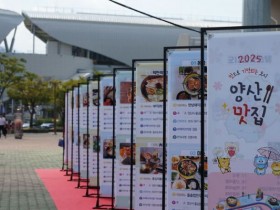 3월 양산 가볼만한곳…원동매화축제·미식 페스티벌 7~8일 동시 개최