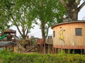 가족 나들이 명소! 충주 탄금공원, 나무숲 놀이터 재개장