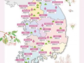 "2026 벚꽃 만개 시기는?"…시민이 기록하는 '벚꽃엔딩 프로젝트'