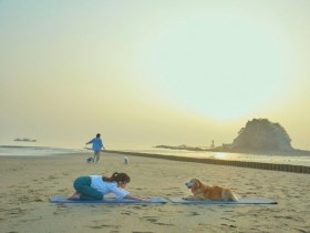 대형견도 동반 OK…태안군, '펫니스 댕댕투어' 3월부터 운영