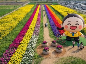 "강원 봄 여행 1순위"…삼척맹방유채꽃축제 4월 3일 개막