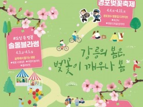 강릉 3대 벚꽃축제 동시에 개막… 피크닉·체험·야경까지