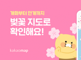 벚꽃 언제 피나?… 카카오맵으로 실시간 개화 상태 확인하는 방법