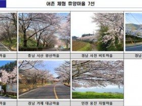 [로컬여행] 벚꽃 따라 바다 마을로, 어촌 마을 7선