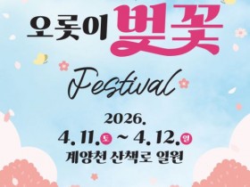 김포 '오롯이 벚꽃' 축제…740m 야간조명 '감성로드'