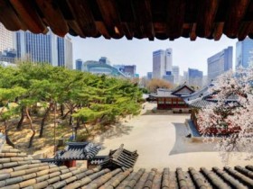 봄꽃 핀 덕수궁, 4월 7~10일 5개 전각 내부 특별 개방…고종 침전도 공개