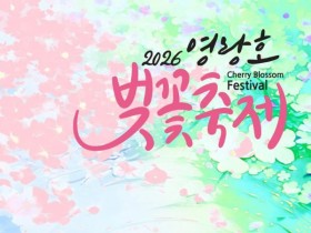 벚꽃 만개한 속초로 봄 나들이…4월 영랑호 벚꽃축제·숲속마켓등 풍성
