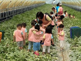 섬진강 유채꽃밭 품은 광양 섬진강끝들마을, 전남 4월 농촌체험마을 선정