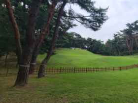 '왕과 사는 남자' 흥행 속…국가유산청, 단종·정순왕후 500년 이별을 꽃으로 잇다