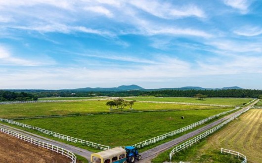 색다른 제주 여행…제주목장 트랙터 마차 투어 어때?