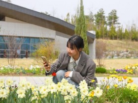 국립세종수목원, 18~26일 '세록세록' 봄꽃축제 무료 개방