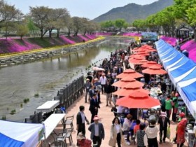 순창 경천서 '제2회 참두릅 여행' 개막… 봄나물·꽃·공연 한자리에