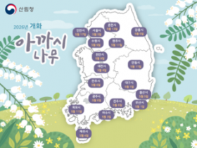 벚꽃 지나니 아까시·마가목 개화…봄꽃 순서 총정리