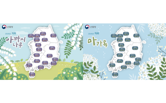 벚꽃 지나니 아까시·마가목 개화…봄꽃 순서 총정리