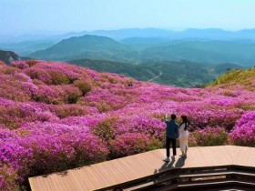 경남 합천 '다라고 스테이' 20팀 모집…숙박비·체험비 지원