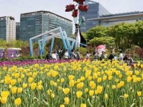1억 송이 꽃의 향연, 2026 고양국제꽃박람회 개막…5월 10일까지