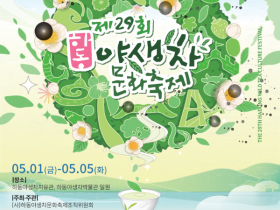 천년 차향의 고장 하동, 5월 황금연휴 '야생차 문화축제' 개최