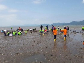 섬·해양레저·캠핑 가능한…촌캉스 명소 11곳 총정리