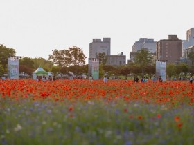 600만 송이 꽃길…울산 태화강 국가정원 봄꽃축제 15일 개막