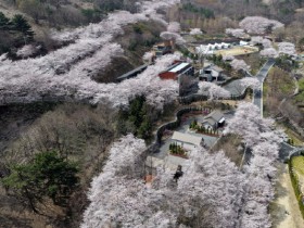 숲 정원부터 야간경관까지…진주 '월아산 숲속의 진주' 방문객 200만 시대