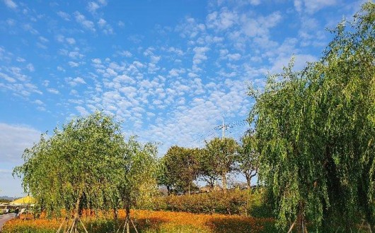 [로컬여행] 홍진영·로이킴등 총출동…장성 황룡강 음악힐링축제 완벽 가이드