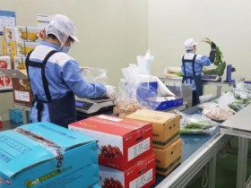 전남도, 친환경농산물 출하정보 시스템 가동…학교급식 연결 강화