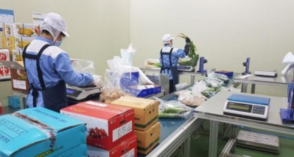 전남도, 친환경농산물 출하정보 시스템 가동…학교급식 연결 강화