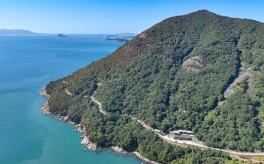 전국 최초, 완도 '약산 해안치유의 숲'…6월 추천 관광지 선정