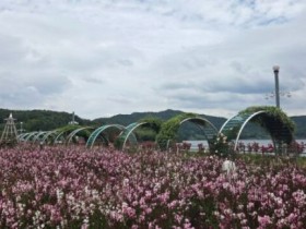 꽃 산책하고 단오제까지…영광 6월 여행 코스 추천