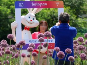 6월 전남 가볼만한곳…강진 작천면 보랏빛 코끼리마늘꽃 축제