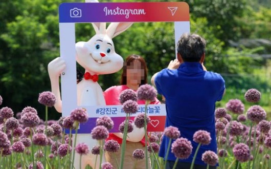6월 전남 가볼만한곳…강진 작천면 보랏빛 코끼리마늘꽃 축제