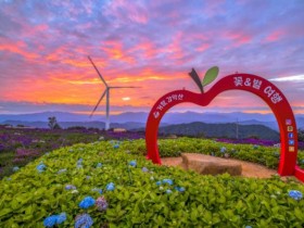 거창 감악산 꽃별여행, 올해 차량 사전예약제 도입