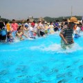봉화은어축제 25일 개막…맨손으로 은어 잡고 물놀이까지