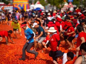 황금반지 찾기·물놀이존까지, 2026 화천토마토축제 31일 개막