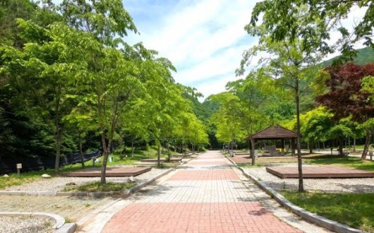 평창 계방산오토캠핑장, 6년 연속 소비자 우수 선정