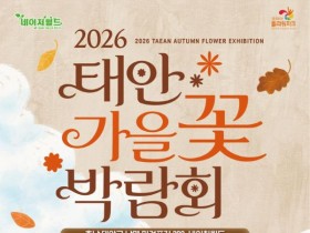 축구장 14개 꽃밭으로 물든다…2026 태안 가을꽃 박람회