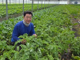 장성 이혁재씨 '무농약쌈채소'로 9월 친환경농산물 선정