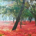 [로컬여행] 광주 근교 꽃무릇 명소 5곳은 어디? 가을 드라이브 코스
