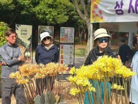 꽃 진 불갑산 상사화, 이제는 ‘잎의 계절’…가을·겨울 볼거리