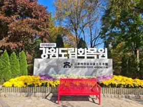 1만3천본 국화로 물드는 강원도립화목원…가을 전시 시작