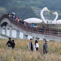 강진만 춤추는 갈대축제 24일 개막…생태탐험·키즈존 운영