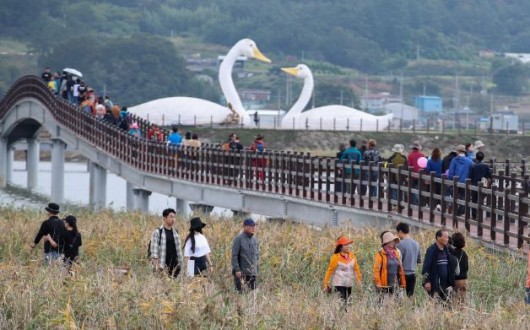 강진만 춤추는 갈대축제 24일 개막…생태탐험·키즈존 운영