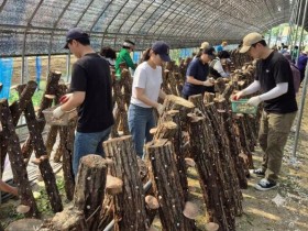 농촌 체험에 숙박·지역 소비까지…인제 ‘숲슐랭가이드’ 인기