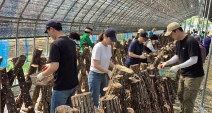 농촌 체험에 숙박·지역 소비까지…인제 ‘숲슐랭가이드’ 인기
