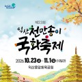 익산 천만송이 국화축제 23일 개막…불꽃놀이와 EDM 파티까지
