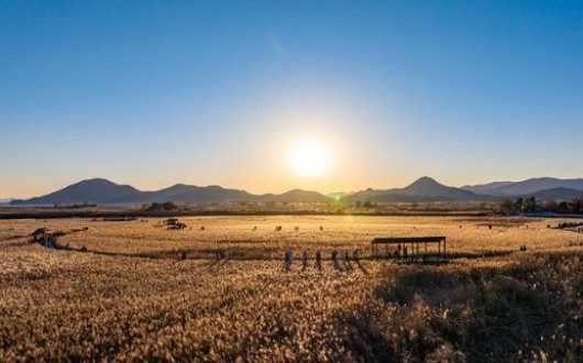 순천만 가을의 절정…제27회 갈대축제 24~25일 개최